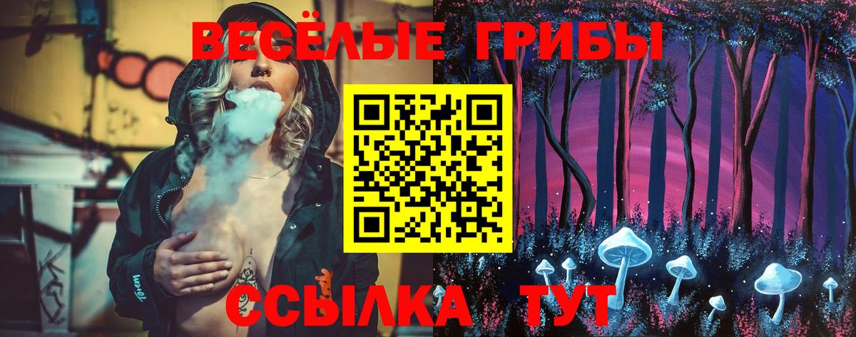 Вязники  Псилоцибиновые грибы GOLDEN TEACHER  Вход с VPN  Псилоцибиновые грибы Magic Shrooms 